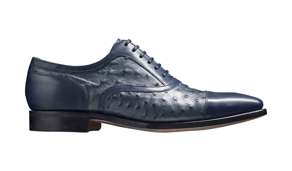 Puccini - Navy Calf / Ostrich