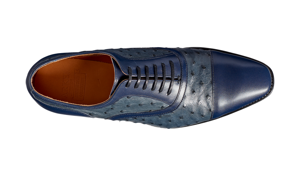 Puccini - Navy Calf / Ostrich