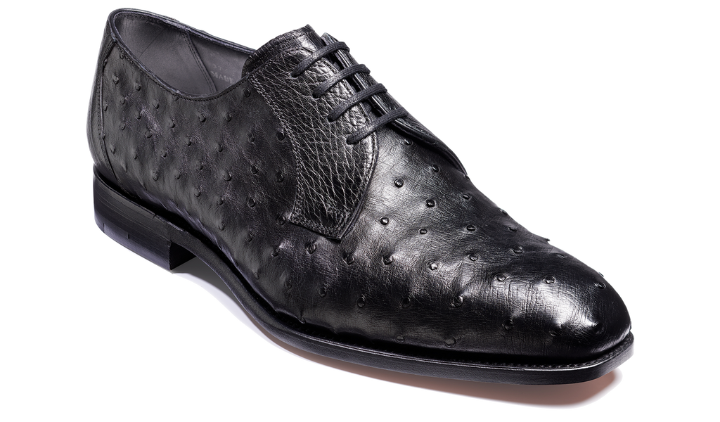 Sutherland - Black Ostrich