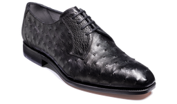 Sutherland Black Ostrich 6