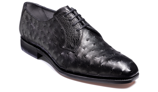 Sutherland - Black Ostrich