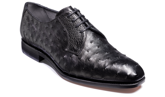Sutherland - Black Ostrich