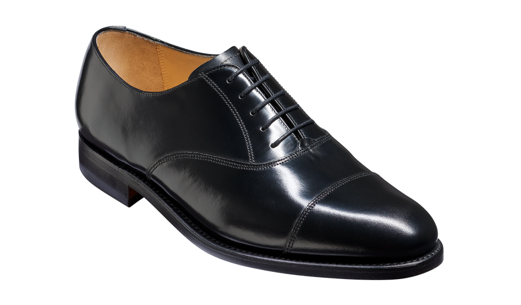 Arnold - Black Hi-Shine (Factory Second)