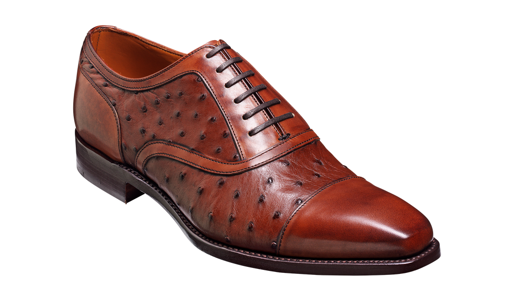Puccini – Brown Calf / Ostrich