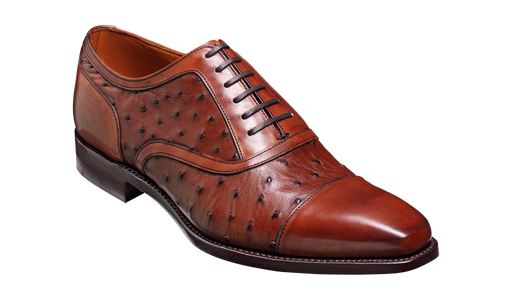 Ostrich shoes store