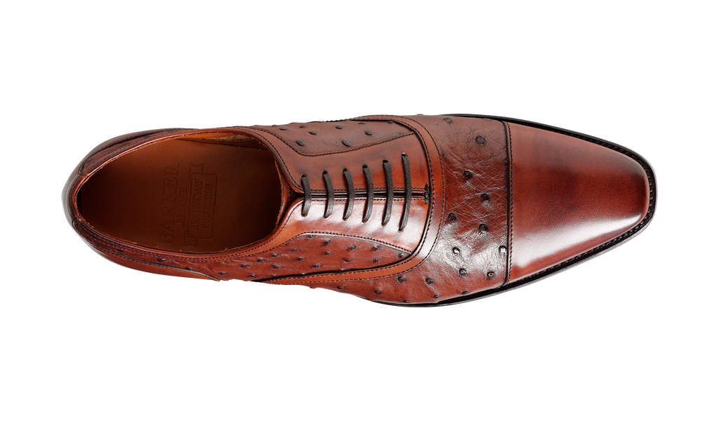 Puccini – Brown Calf / Ostrich