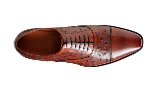 Puccini – Brown Calf / Ostrich